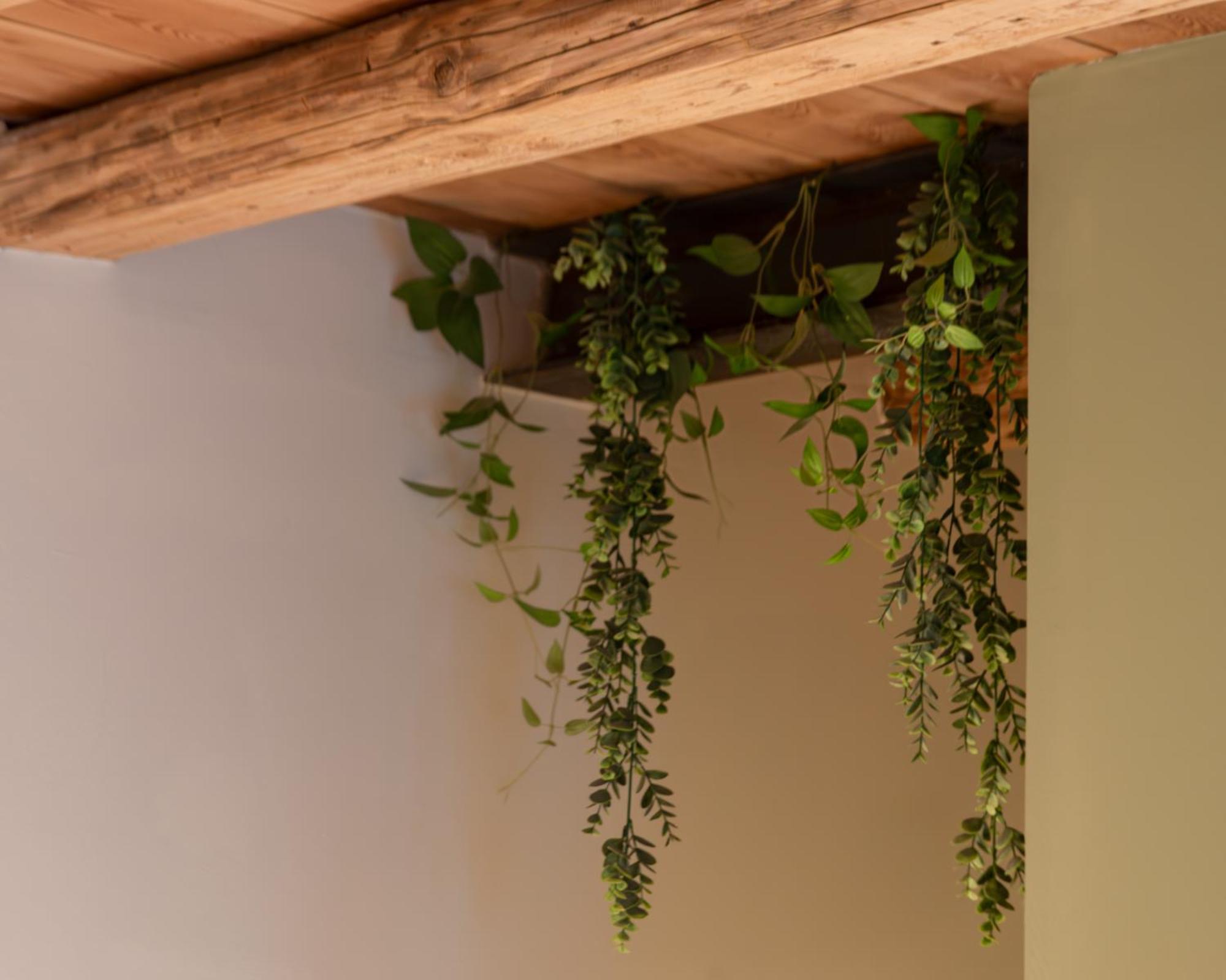 Bacaria Bed&Breakfast Bassano del Grappa Zewnętrze zdjęcie